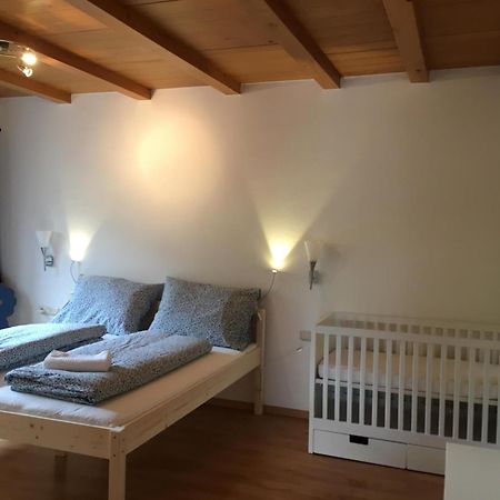 Ferienwohnung Baerfeld フィーバーブルン エクステリア 写真